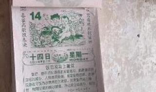 抖音张同学首次回应走红 抖音张同学首次回应走红