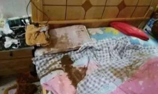 可以免费约出来睡觉的软件 可以免费约出来睡觉的软件