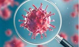 新冠二次复阳后的危害 二次复阳1-7天症状图 新冠二次复阳后的危害 二次复阳1-7天症状图