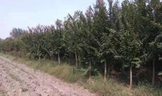 安徽省蚌埠市五河县