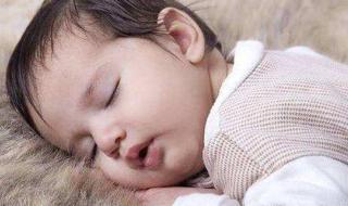 鼻子腺体肥大手术费用 鼻子腺体肥大手术费用